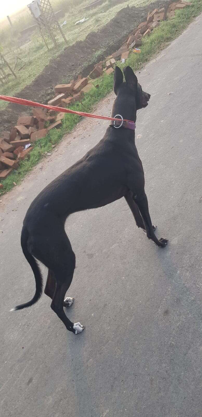 MALWA BELT's Profile Pic