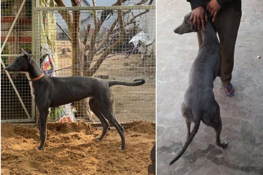 Rubys prince 's Profile Pic