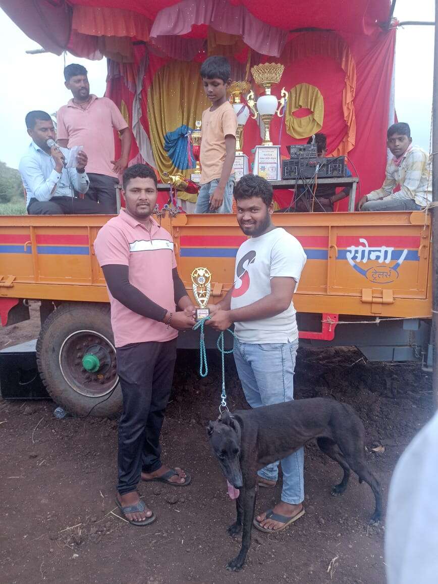 Great news's Profile Pic