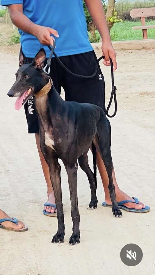 BERETTA's Profile Pic