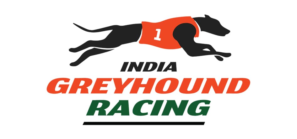 greyhound sports logo