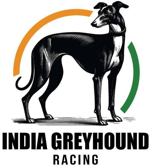 IGR Logo