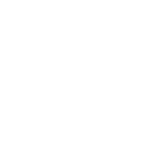 IGR BW Logo